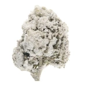 Pineapple Express Snow