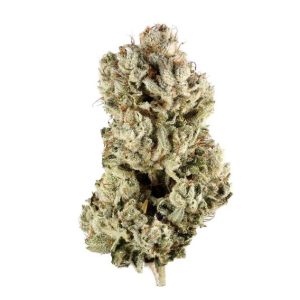 Lemon Sherbet