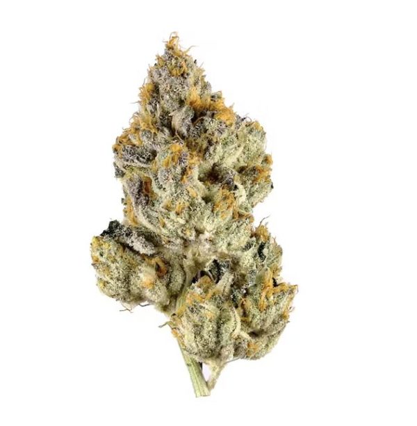 Granita - Image 2