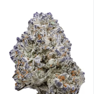 Slurricane