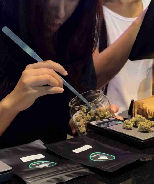 photo_2023-04-08 18.23.54