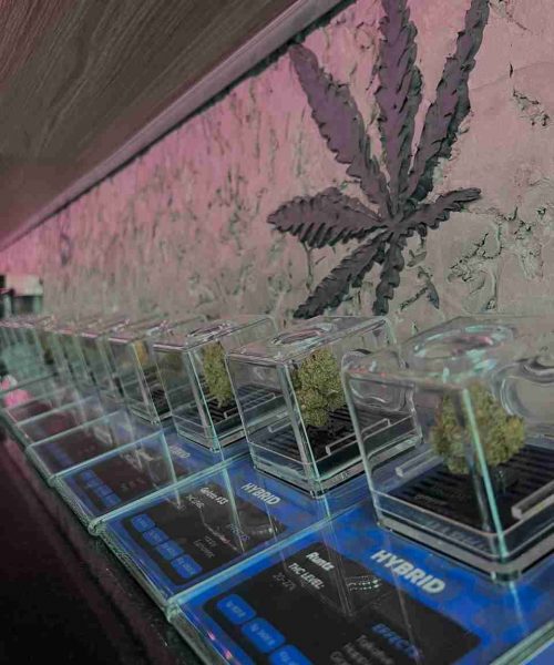 photo_2023-04-08 18.23.57