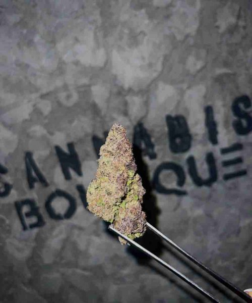 photo_2023-04-08 19.20.40