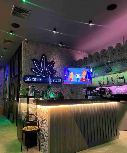 photo_2023-04-10 18.01.35